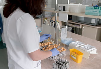Lab Technician Processing Blood Samples in Medical Laboratory