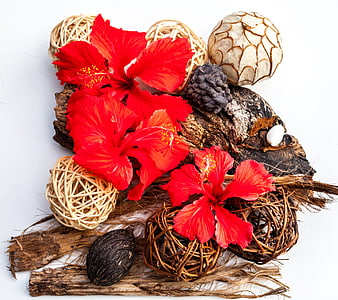 Red hibiscus flowers with driftwood and wicker balls on white