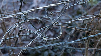 Close-up of tangled barbed wire fence in nature