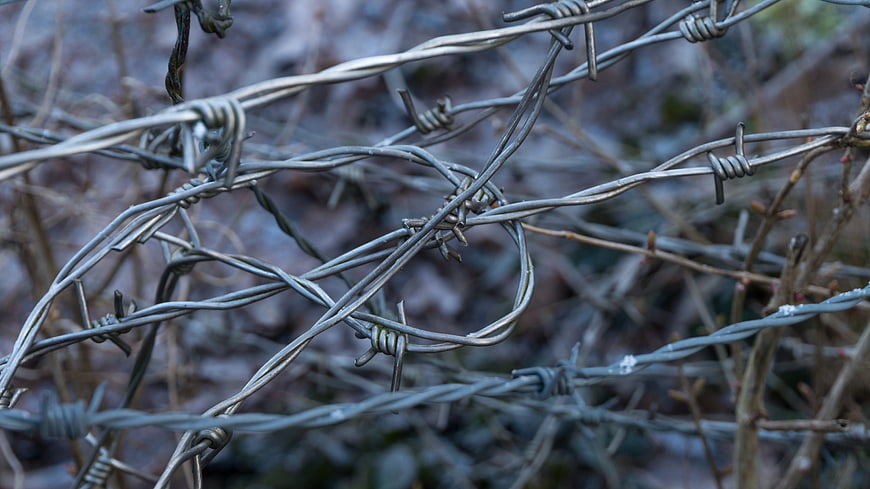 Close-up of tangled barbed wire fence in nature
