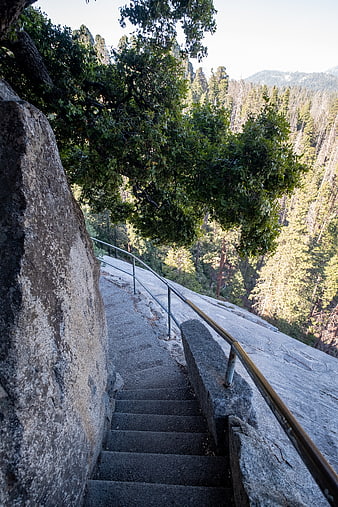 Concrete Staircase on Mountain Trail with Forest View