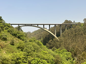 Concrete Arch Bridge Spanning Lush Green Forest Valley