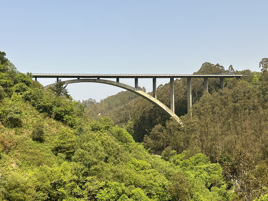 Concrete Arch Bridge Spanning Lush Green Forest Valley