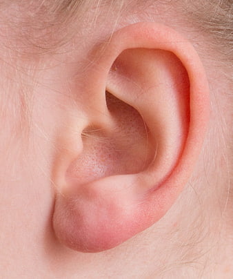 Close-up of a human ear with visible skin texture