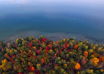 Aerial View of Colorful Autumn Forest by Blue Lake