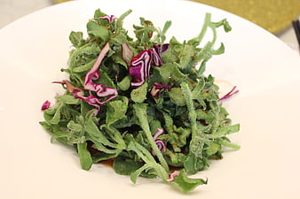Fresh Ice Plant Salad with Red Cabbage on White Plate