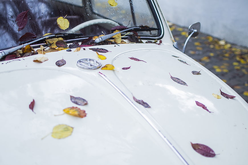 White vintage Volkswagen Beetle with autumn leaves on hood