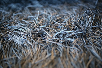 Close-up of textured gray carpet fibers