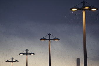 Street lamps illuminating rain against a twilight sky