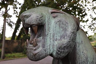 Close-up of roaring bronze tiger statue head in park
