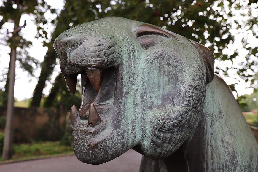Close-up of roaring bronze tiger statue head in park