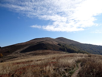 Autumn hiking trail leading to grassy mountain ridge in Bieszczady, Poland