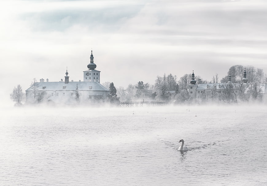 Misty Lake Landscape with Swan and Historic Architecture