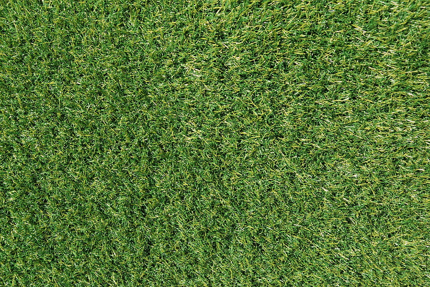Top View of Green Grass Texture Background