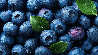 Close-up of Fresh Wet Blueberries with Green Leaves