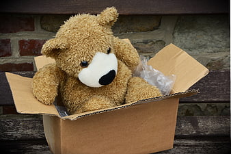 Teddy Bear In Cardboard Box On Wooden Bench