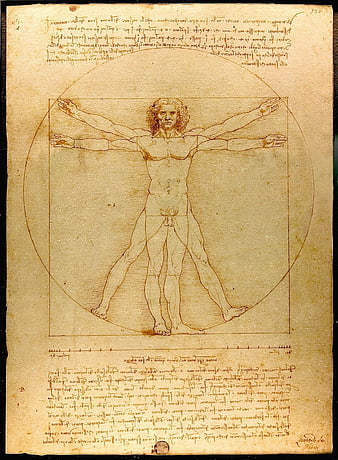 Leonardo da Vinci Vitruvian Man Renaissance Drawing