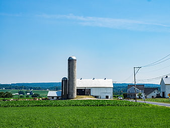 White Barn and Silo in Green Cornfield Landscape