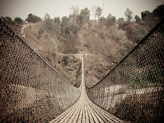 Suspenseful View Down a Rustic Suspension Bridge in Woods