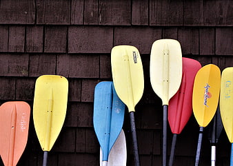 Colorful Canoe Paddles Leaning Against Dark Wooden Shingles