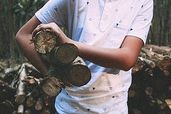Man Carrying Firewood Logs in Forest