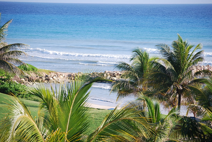 Tropical Palm Trees Overlooking Caribbean Ocean and Beach