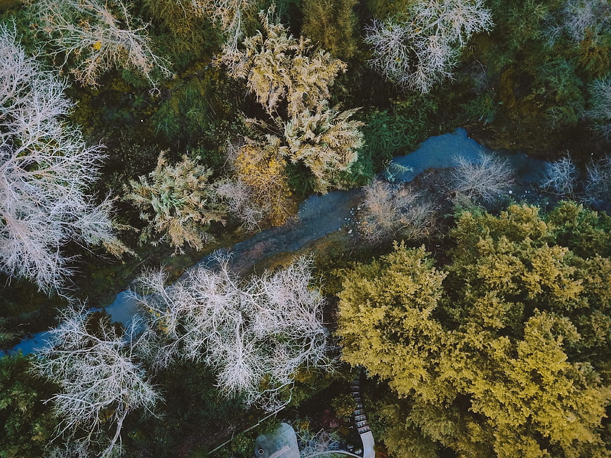 Aerial view of winding river through autumn forest