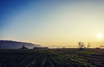 Serene Countryside Landscape with Sunrise and Misty Hills