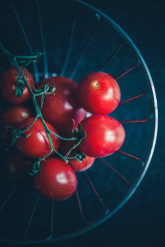 Fresh Red Tomatoes on the Vine in a Wire Basket