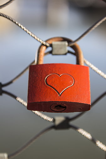 Red Heart Padlock on Chain Link Fence