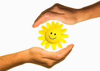 Hands Protecting Smiling Sunflower Toy on White Background