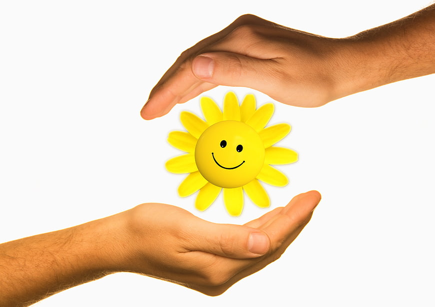 Hands Protecting Smiling Sunflower Toy on White Background