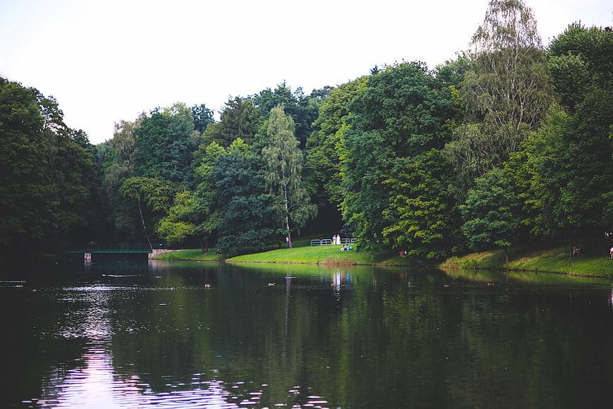 Serene River in Lush Green Park with Trees and Bridge