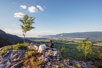Man and Dog Enjoying Scenic Mountain Valley View
