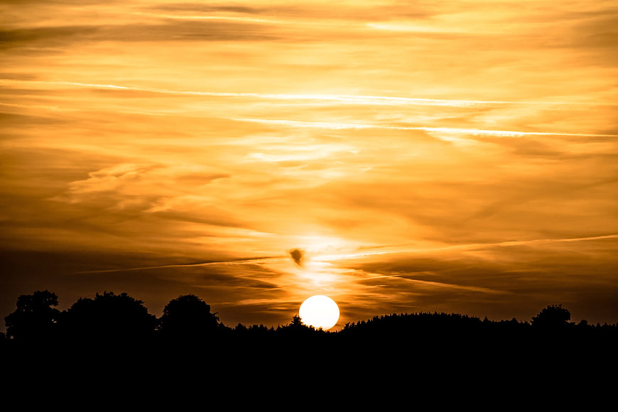 Golden sunset silhouette of trees and clouds