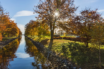 Sunlit Autumn Canal with Vibrant Orange Trees and Reflections