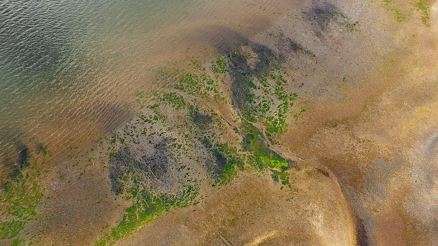 Aerial View of Sandy Shore with Green Algae and Water Ripples