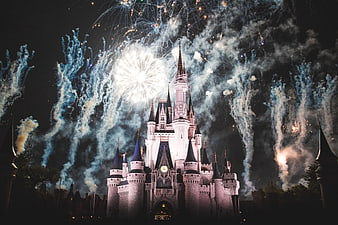 Disney Castle Fireworks Night Sky Celebration