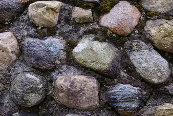 Close-up of textured mossy stones and rocks