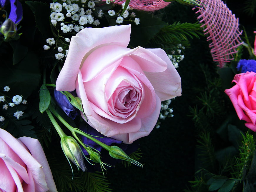 Close-up of a delicate pink rose in a floral bouquet