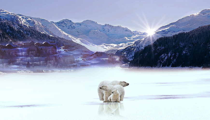 Polar Bear Family on Frozen Lake with Snowy Mountains and Sunburst