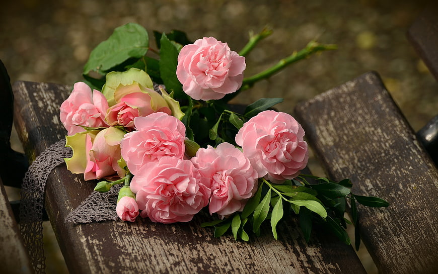 Bouquet of Pink Roses on Weathered Wooden Bench