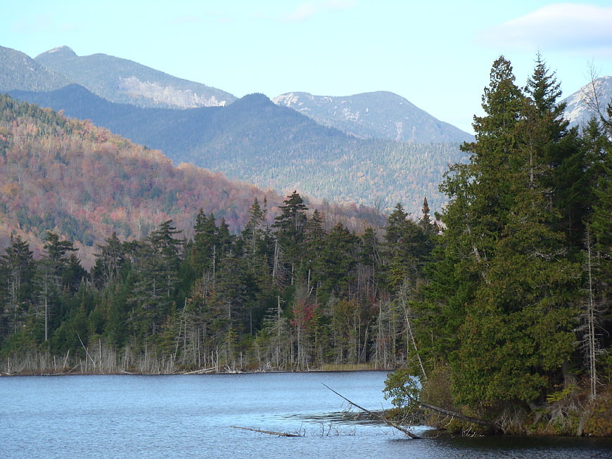 Serene Lake with Autumn Mountains and Pine Forest