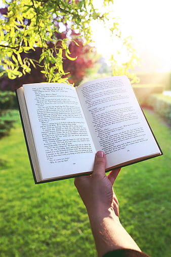 Hand holding open book in sunny garden