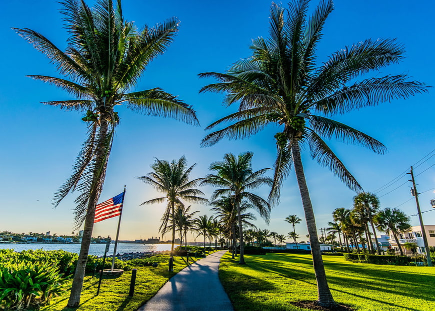 Tropical Palm Trees and American Flag by Waterfront Path