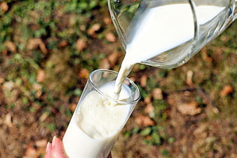 Fresh milk being poured from a glass pitcher into a glass outdoors
