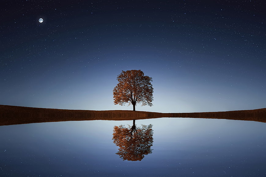 Lone autumn tree reflected in calm lake under starry night sky