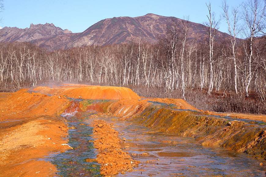 Vibrant orange hot spring stream in Kamchatka birch forest