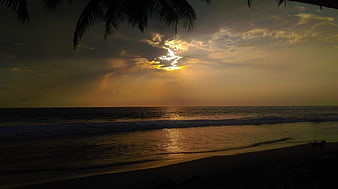Tropical Sunset Silhouette with Palm Leaves and Ocean Waves