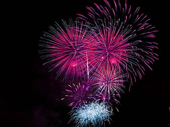 Vibrant Pink and Blue Fireworks Exploding in Night Sky